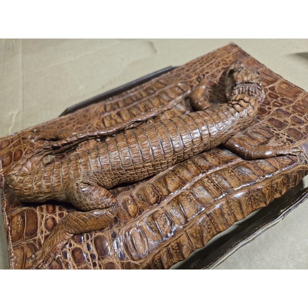 Vintage 1940's‎ Taxidermy Full Body Baby Alligator Handbag Clutch Purse - Picture 9 of 14